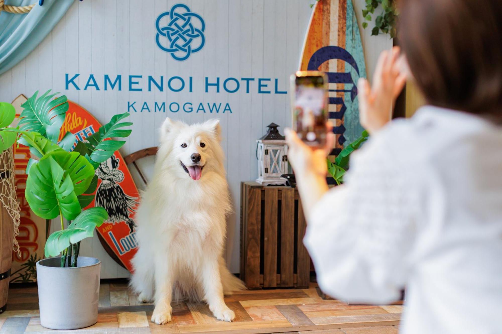 Kamenoi Hotel Kamogawa Exterior photo
